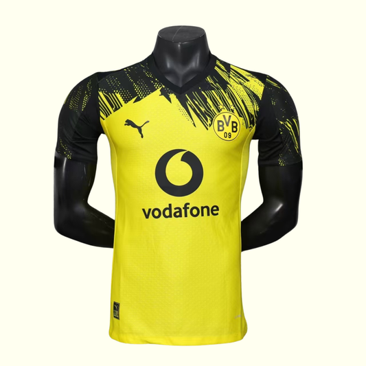 Borussia Dortmund 25/26 Local